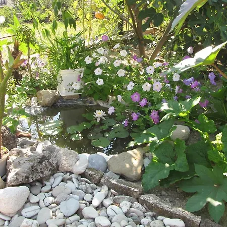 Rusalka Къща за гости